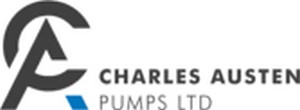 Charles Austen Pumps
